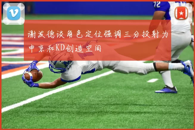谢泼德谈角色定位强调三分投射为申京和KD创造空间